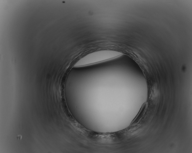 X0000090430524200707131011
