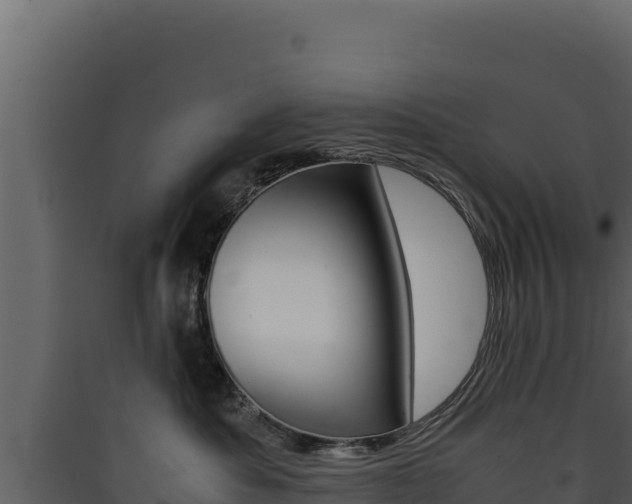 X0000090430525200707131011