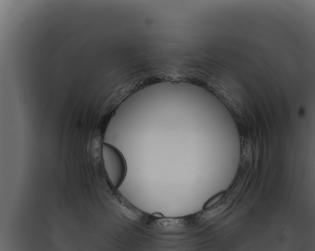 X0000090430526200707131011