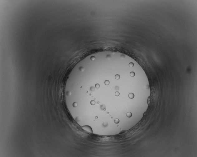 X0000090430527200707131011