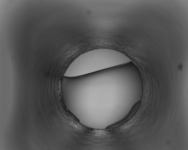 X0000090430528200707131011