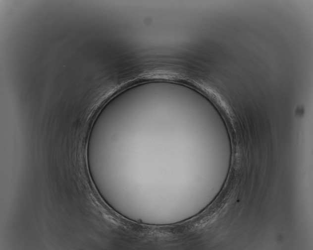X0000090430529200707131010
