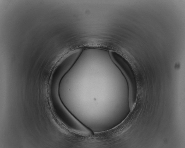 X0000090430530200707131010