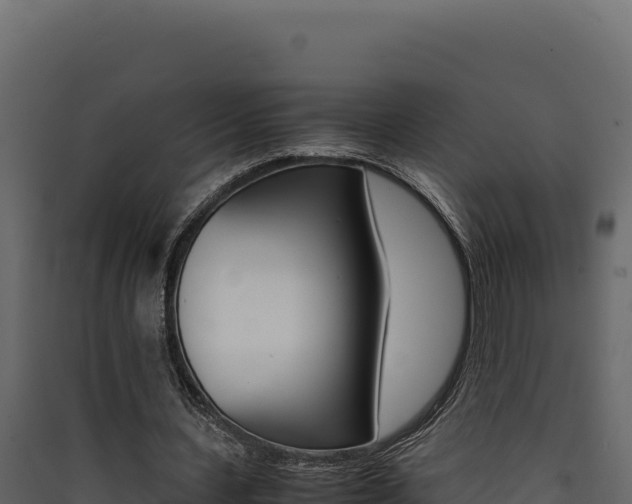 X0000090430531200707131010
