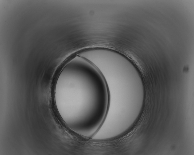 X0000090430532200707131010
