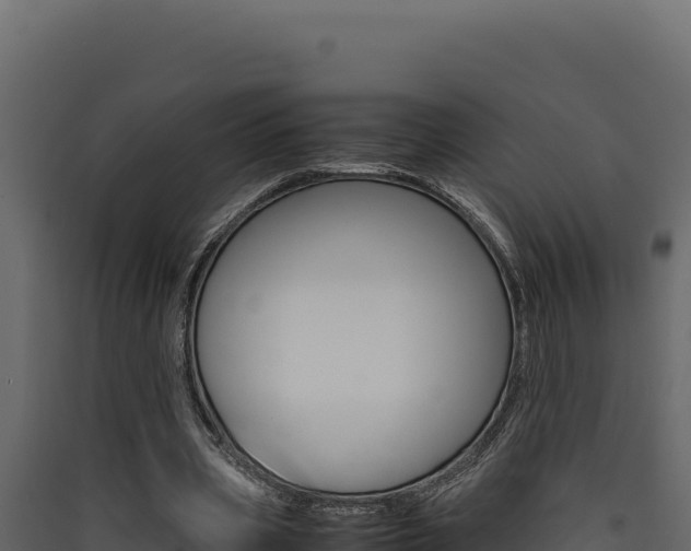 X0000090430533200707131010