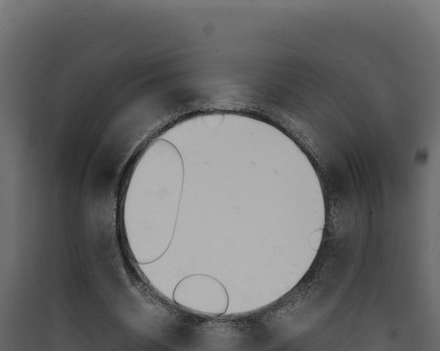 X0000090430534200707131010