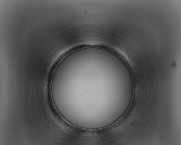X0000090430535200707131010