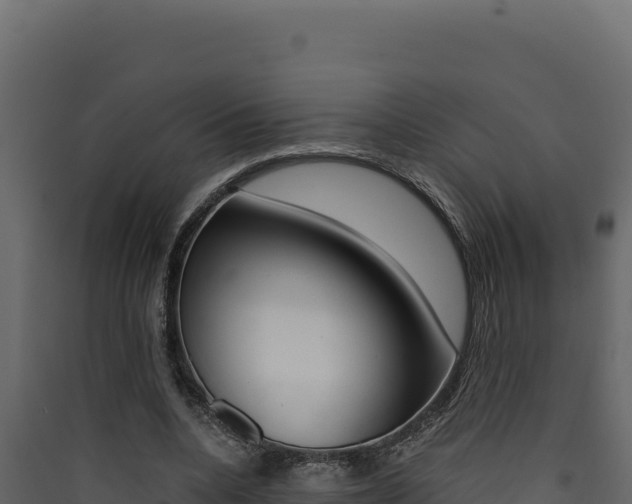 X0000090430536200707131010