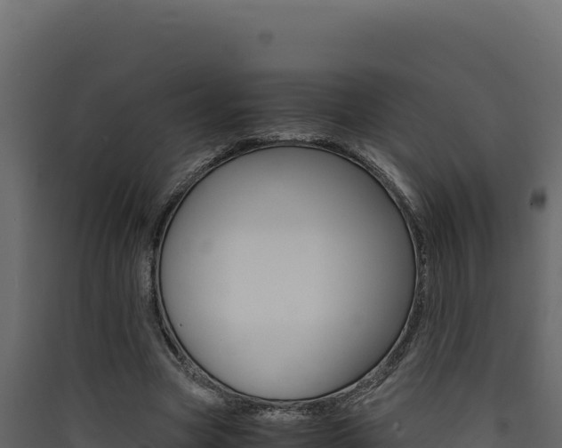 X0000090430537200707131010