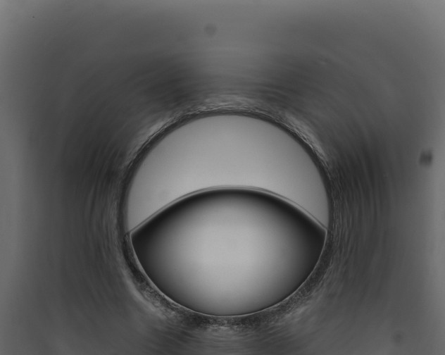 X0000090430538200707131010