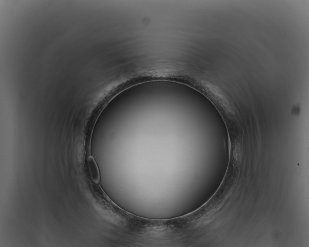 X0000090430540200707131010