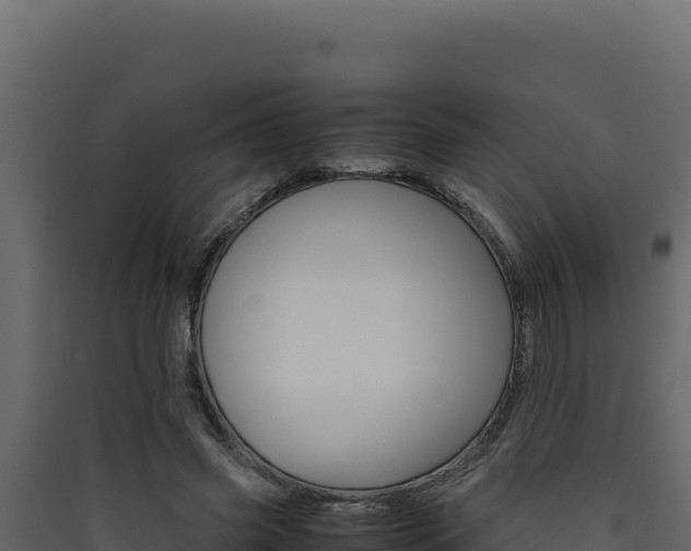 X0000090430541200707131010