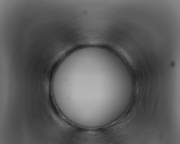 X0000090430542200707131010