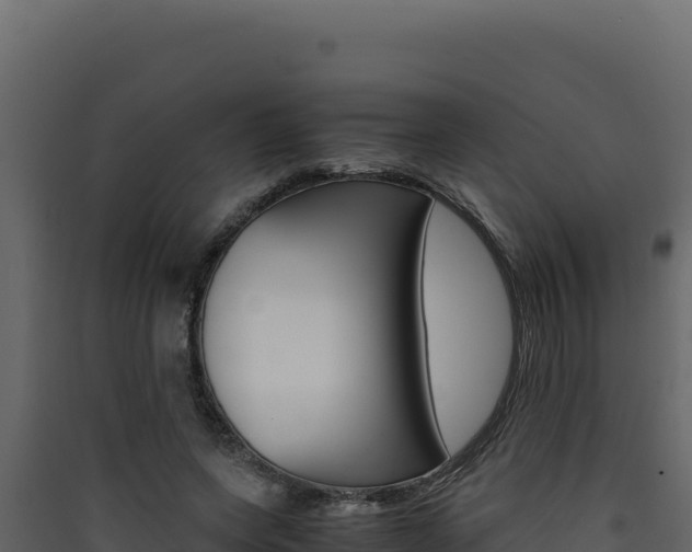X0000090430543200707131010