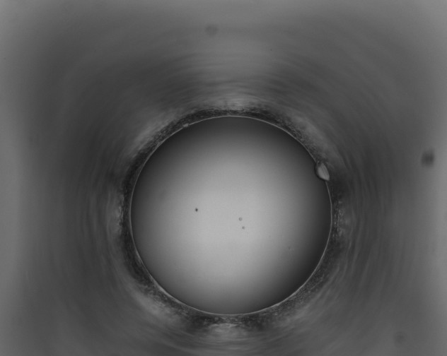 X0000090430544200707131010