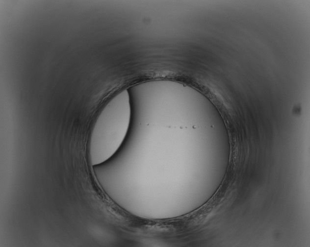 X0000090430545200707131010