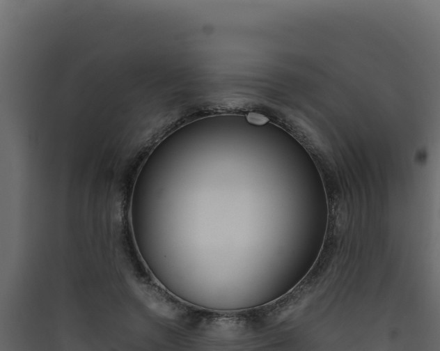 X0000090430546200707131010