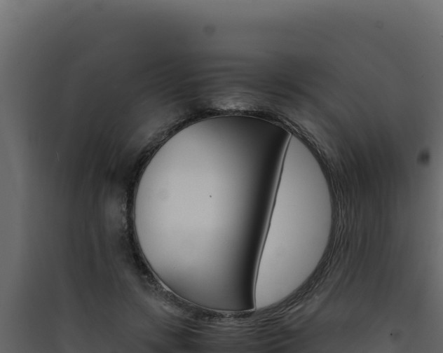 X0000090430547200707131010