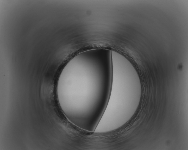 X0000090430548200707131010