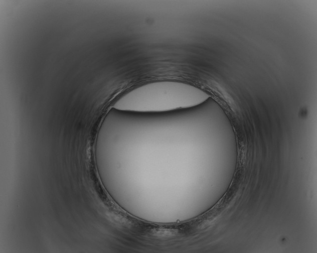 X0000090430549200707131010