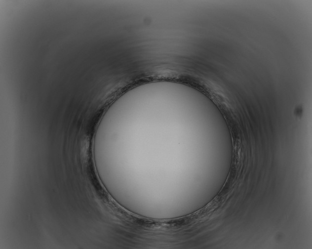 X0000090430550200707131011