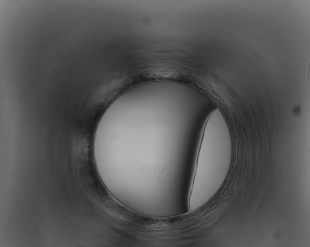 X0000090430551200707131011