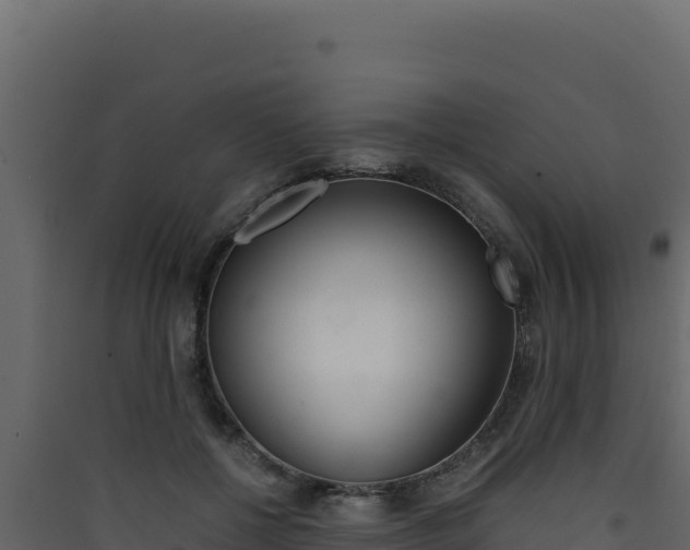 X0000090430552200707131011