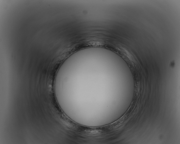 X0000090430553200707131011