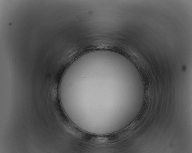 X0000090430554200707131011