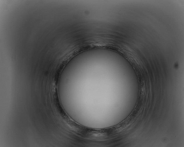 X0000090430555200707131011