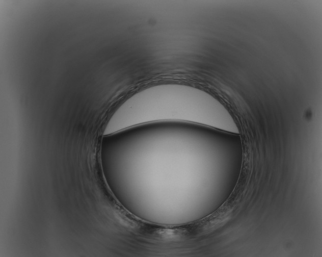 X0000090430558200707131011