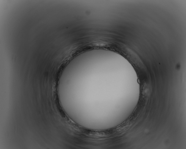 X0000090430559200707131011