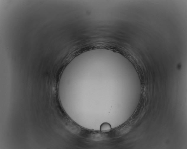 X0000090430561200707131011