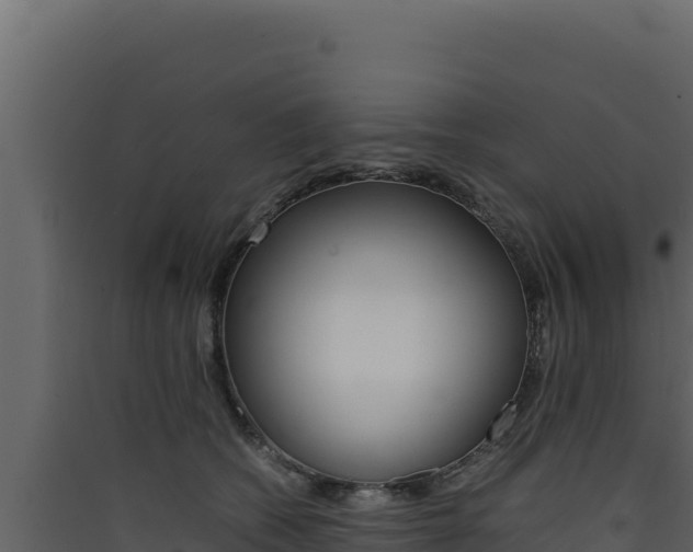 X0000090430562200707131011