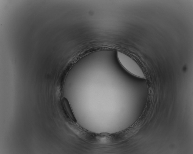 X0000090430564200707131011