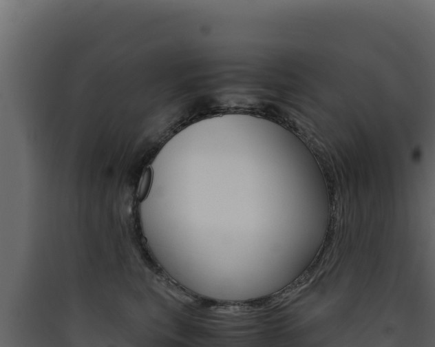 X0000090430567200707131011