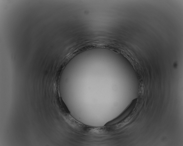 X0000090430568200707131011