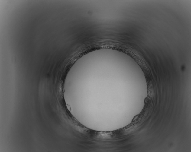 X0000090430573200707131011