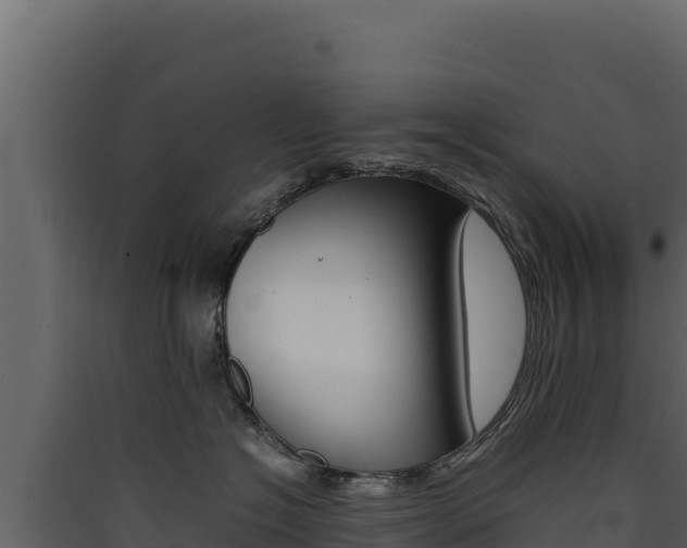 X0000090430574200707131011
