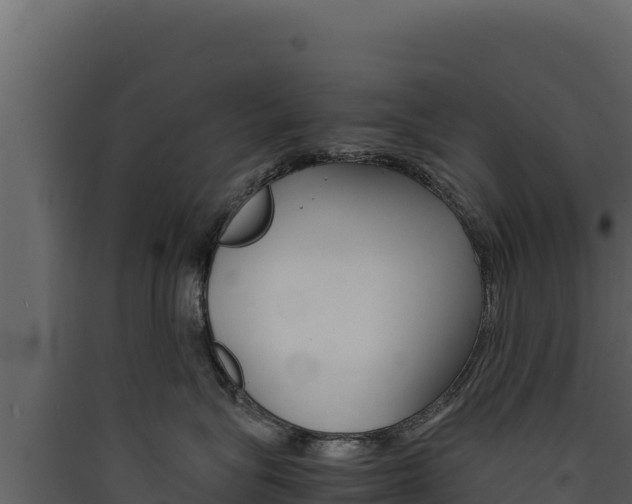 X0000090430575200707131011