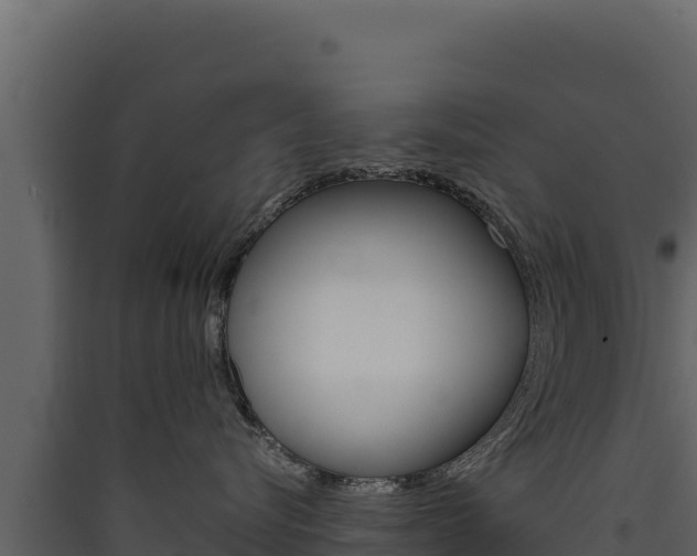 X0000090430576200707131011