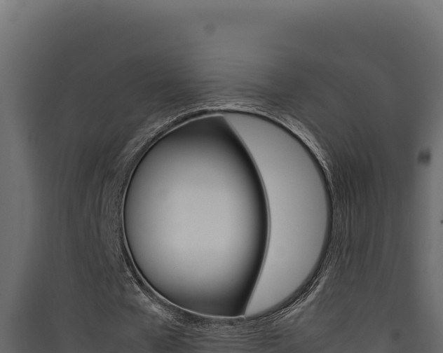 X0000090430577200707131010
