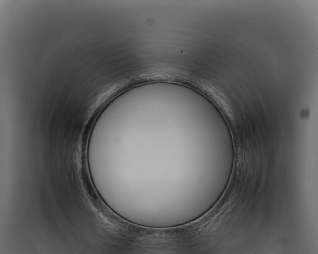 X0000090430578200707131010