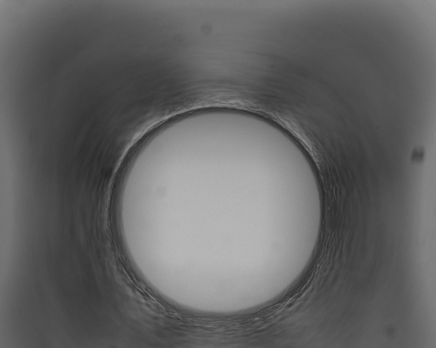 X0000090430579200707131010
