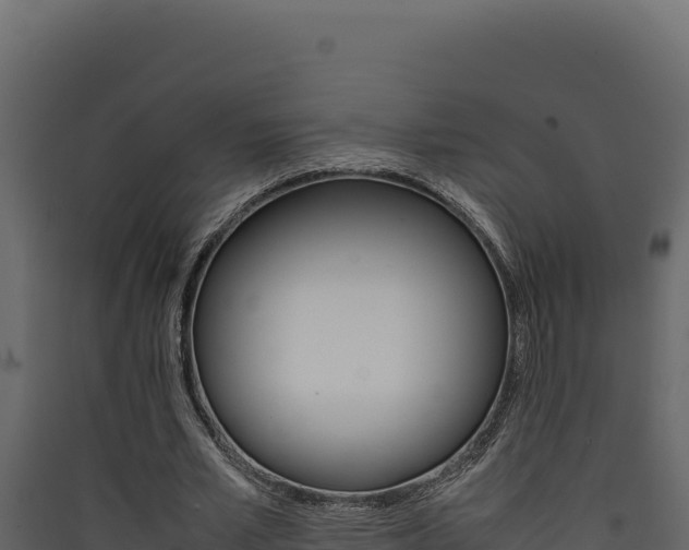 X0000090430581200707131010