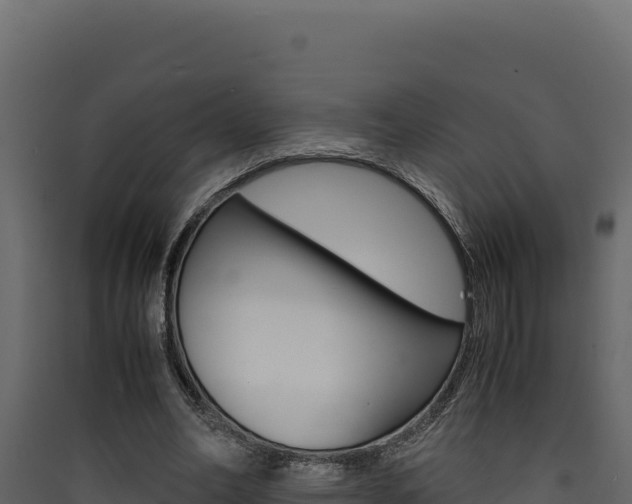 X0000090430582200707131010