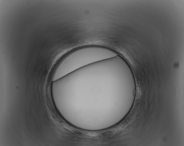 X0000090430583200707131010