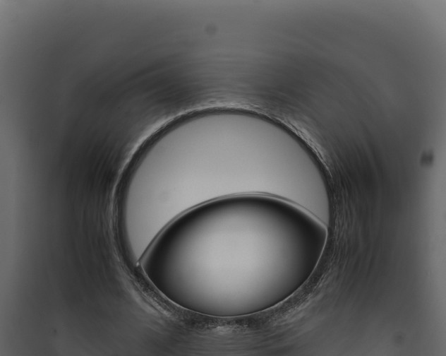 X0000090430584200707131010