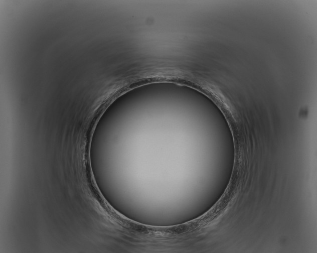 X0000090430585200707131010